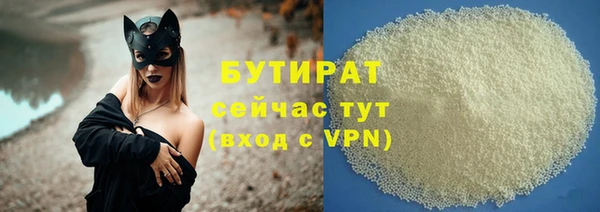 дживик Няндома