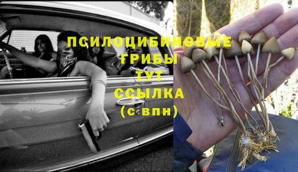 тгк Алексин