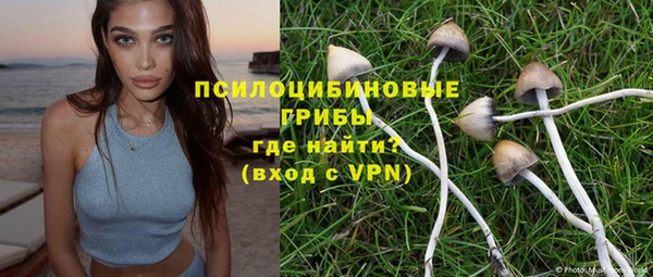 стаф Алексеевка