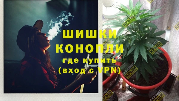стафф Новодвинск