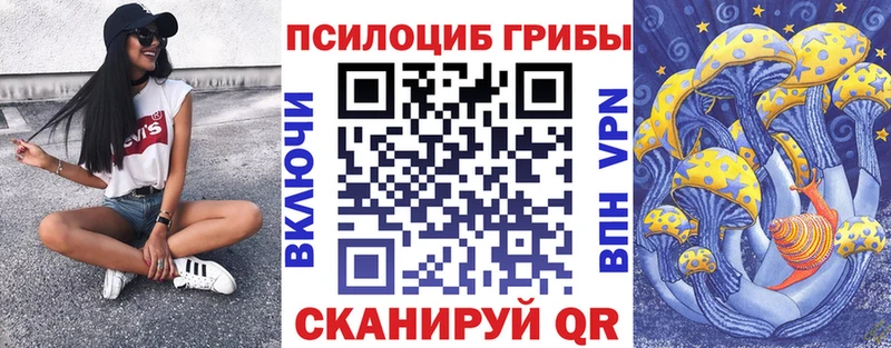 Псилоцибиновые грибы мицелий  Асино 